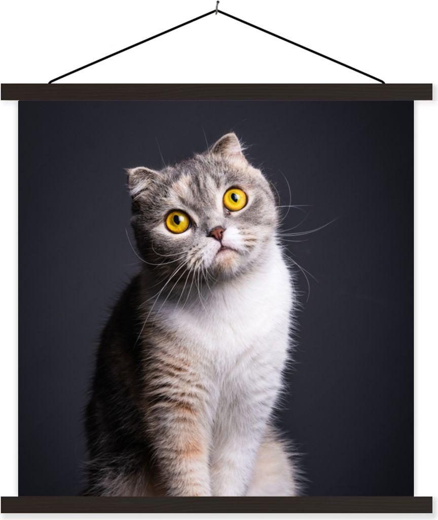 MuchoWow Textilposter Katze - Augen - Licht 90x90 cm mit schwarzem Rahmen - Magnetisches