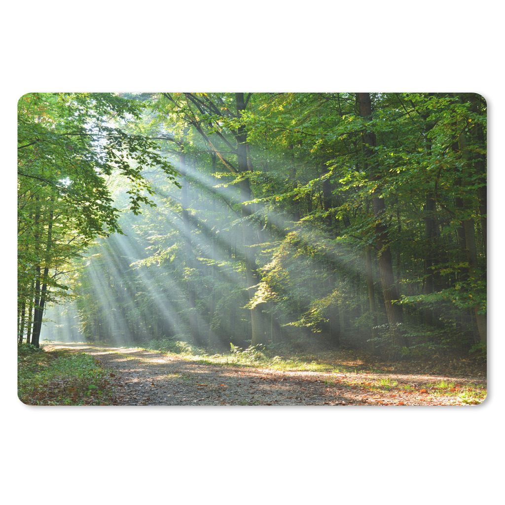 MuchoWow Schreibtischunterlage Frühling - Wald - Baum 60x40 cm - XXL Mauspad - Großes Mauspad