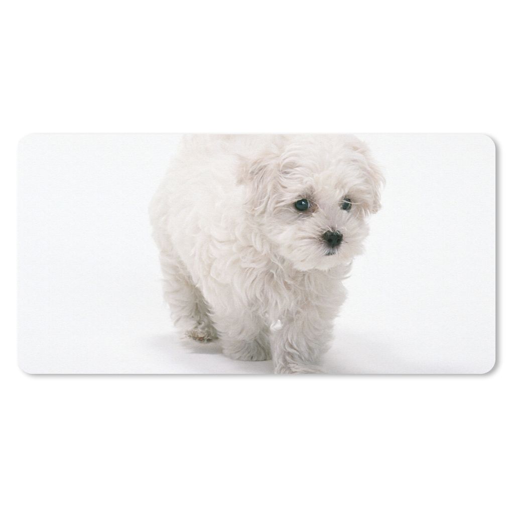 MuchoWow Mauspad Mousepad Niedlicher kleiner Malteserhund 60x30 cm - Mousepads - Maus Mat - Pad - Mausunterlage - Nachhaltig