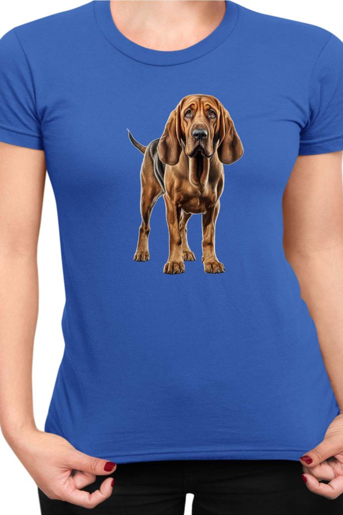 Damen T-Shirt Dogs Breeds Bloodhound Dog Breed 005, Lady XL / Blau