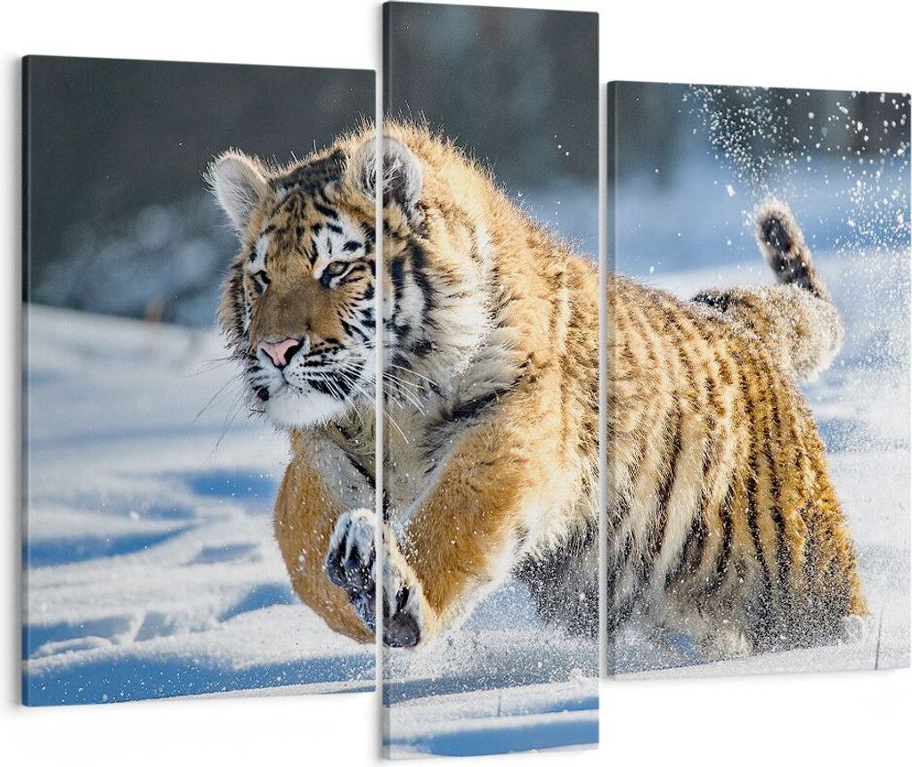 Bild auf Leinwand - Leinwandbild - tiger tier - 95x80cm - Wand Bild - Wanddeko - Wandbilder - Leinwanddruck - Bilder - Kunstdruck - Wanddekoration ...