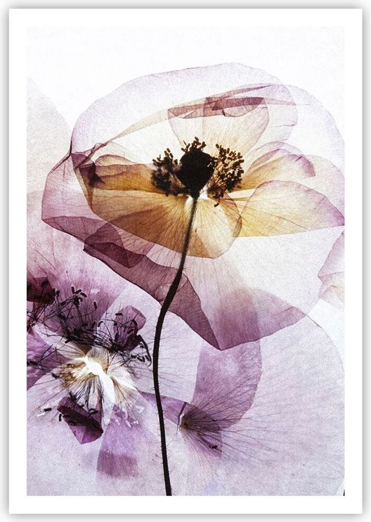 Poster - Poster ohne Rahmen - blume sommer natur - 70x100 cm - Wand Bild - Wanddeko - Wandbilder - Kunstposter - Wandposter - Bilder - Kunstdruck -...