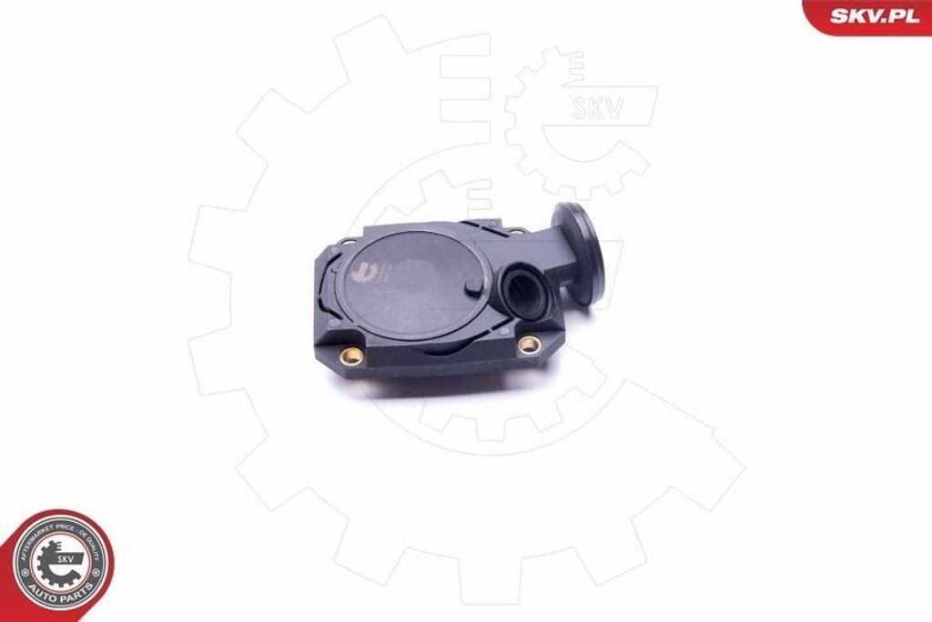 ESEN SKV 31SKV073 Ventil Kurbelgehäuseentlüftung PCV für BMW 7 (E38)