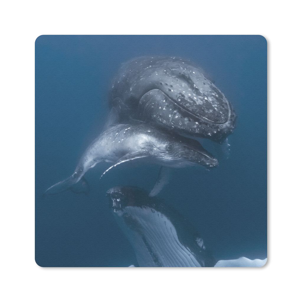 MuchoWow Mauspad Mousepad Wale - Meer - Familie 30x30 cm - Mousepads - Maus Mat - Pad - Mausunterlage - Gaming