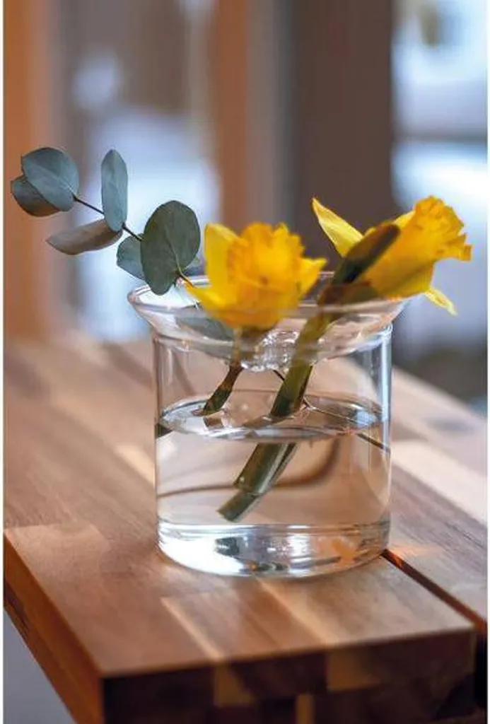 Pot pour boutures et graines en verre pour créer votre jardin intérieur