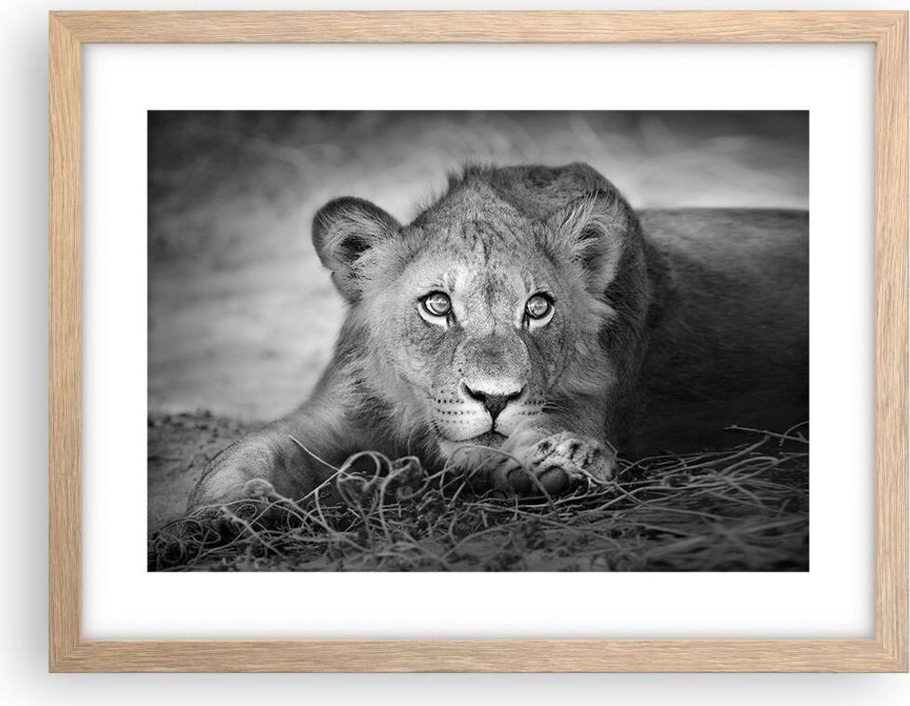 Gerahmtes Poster - Rahmen in heller Eiche - Löwe asiatisch Porträt - 40x30 cm - Wand Bild - Wanddeko - Wandbilder - Kunstposter - Wandposter - Bi...