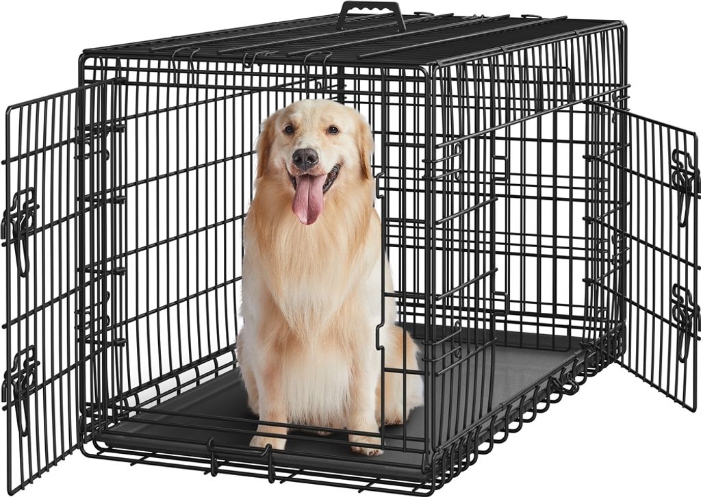 A golden retriever dog sits inside a black metal dog crate with its doors open.