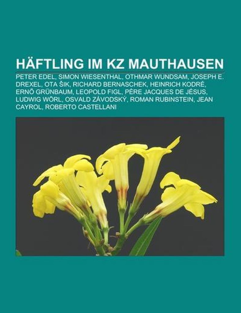 Häftling im KZ Mauthausen