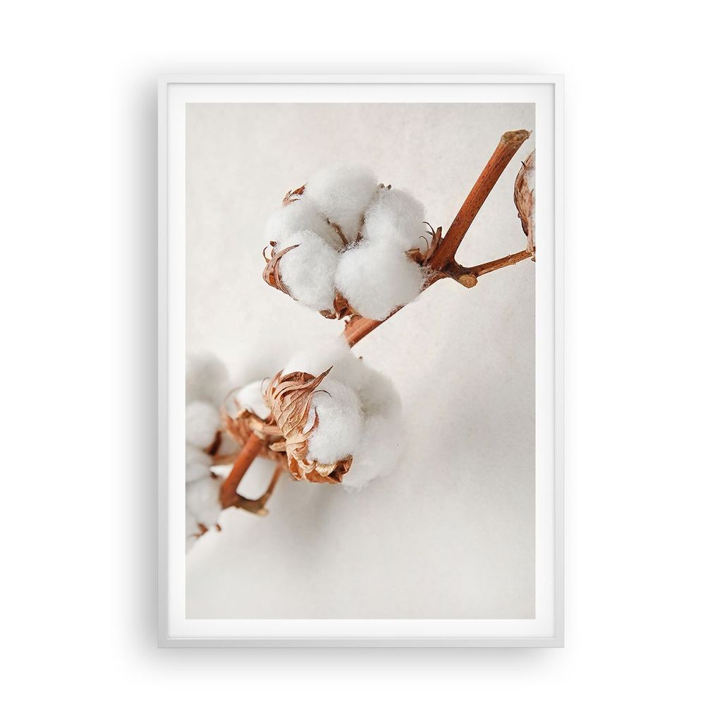 Gerahmtes Poster - Weißer Rahmen - Baumwolle Makro Zweig - 70x100 cm - Wand Bild - Wanddeko - Wandbilder - Kunstposter - Wandposter - Bilderrahmen...