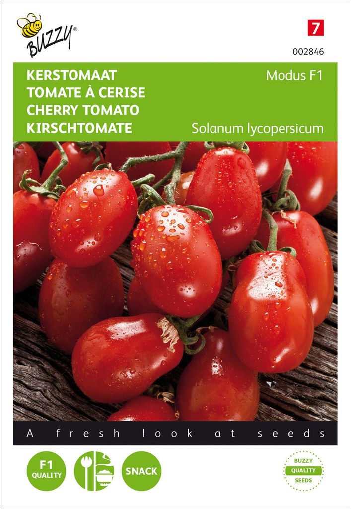 Tomaten Modus F1 | Tomatensamen von Buzzy Seeds