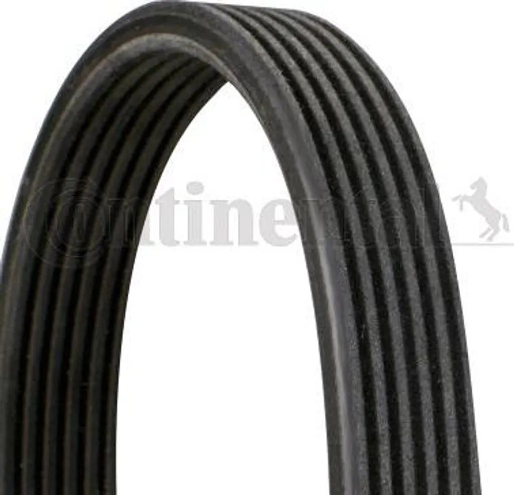 Continental 6DPK1215 Cinghia 038903137S per VW Caddy Multivan T5