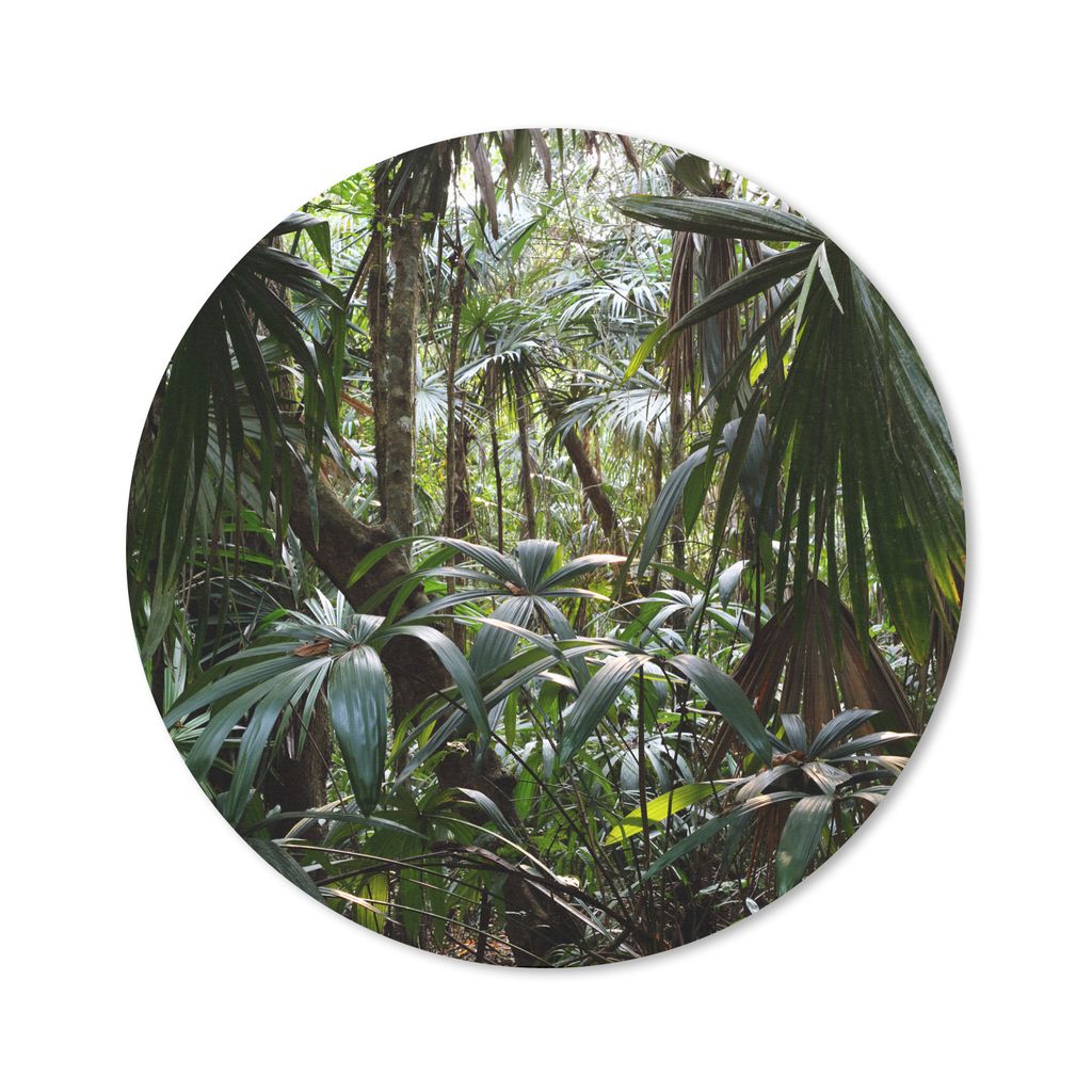 MuchoWow Mauspad Mousepad Pflanzen im Regenwald 20x20 cm - Mousepads - Maus Mat - Pad - Mausunterlage - Schreibtischmatte