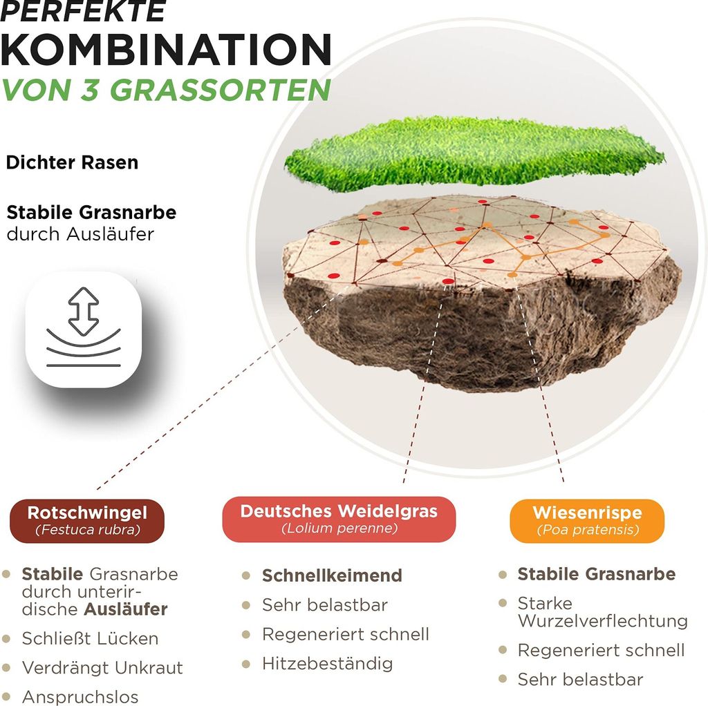 Rasensamen schnellkeimend 2,5kg = 75-100m² Sport und Spiel Produktbild 5