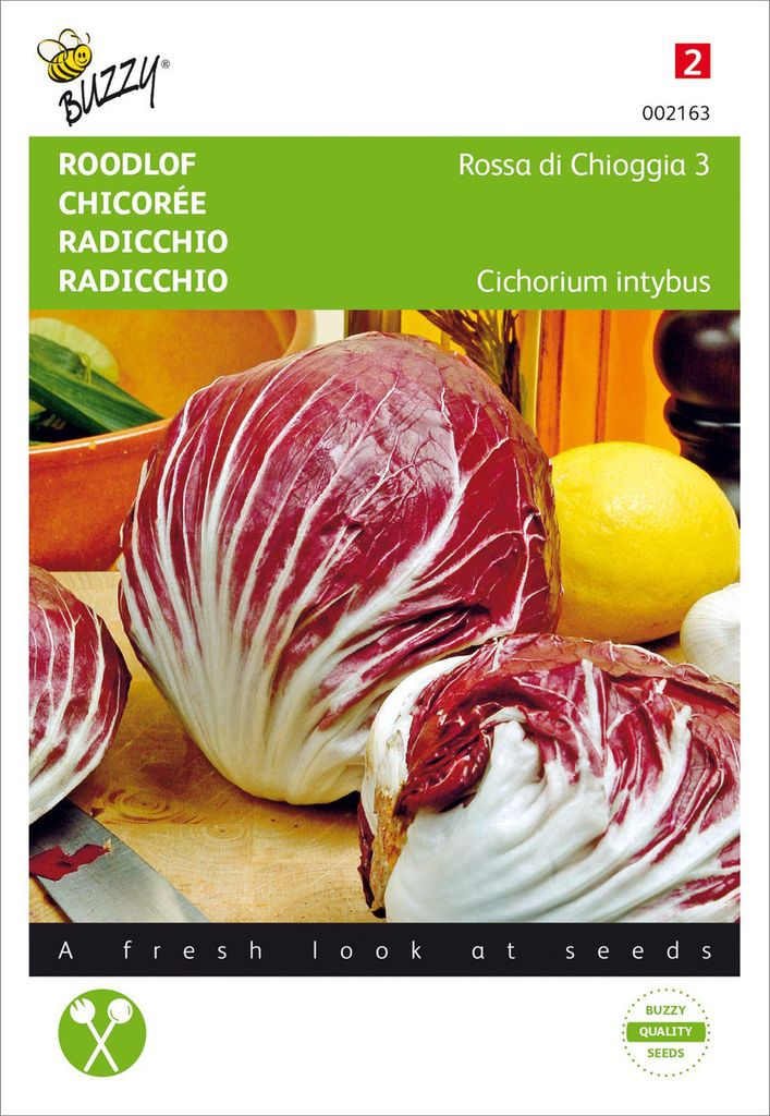 Radicchio Rossa di Chioggia 3 | Radicchiosamen von Buzzy Seeds