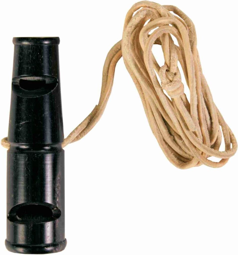 TRIXIE Doppeltonpfeife - diverse - 6 cm