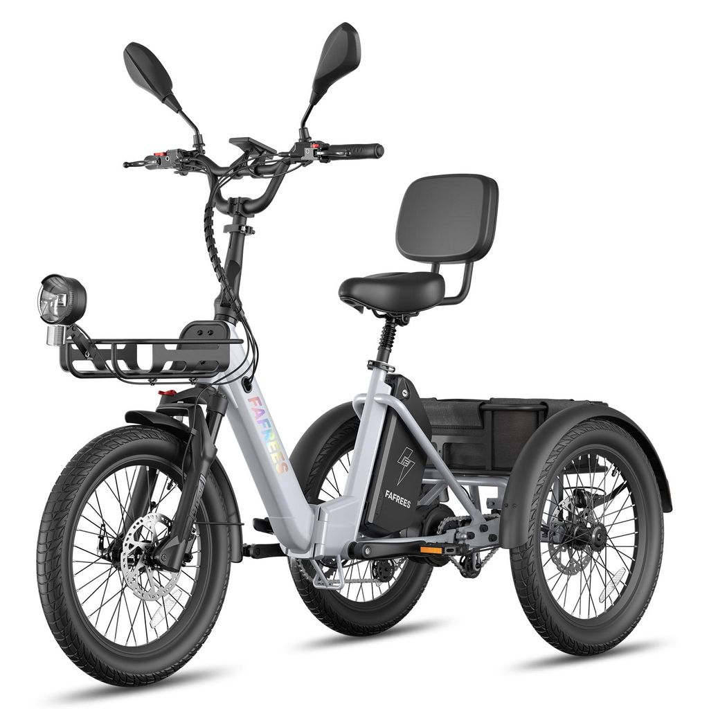 E Trike mit Unterstützung, 180 kg Zuladung, 100 km Produktbild 