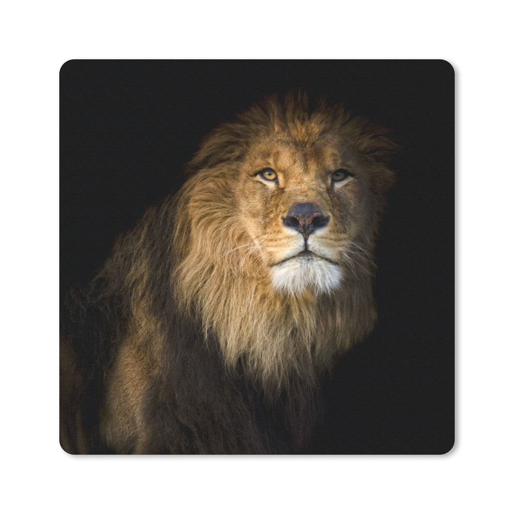 MuchoWow Mauspad Mousepad Löwe - Licht - Schwarz - Porträt 30x30 cm - Mousepads - Maus Mat - Pad - Mausunterlage - Gaming