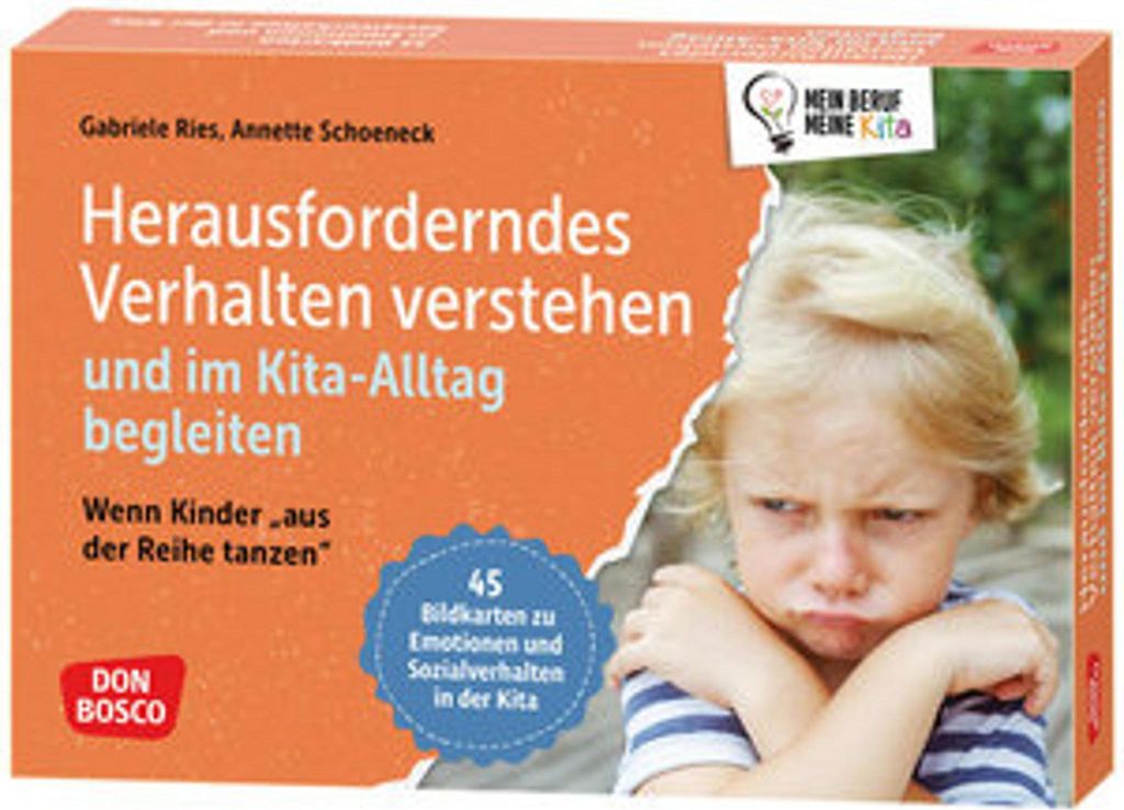 Herausforderndes Verhalten verstehen und im Kita-Alltag Produktbild 