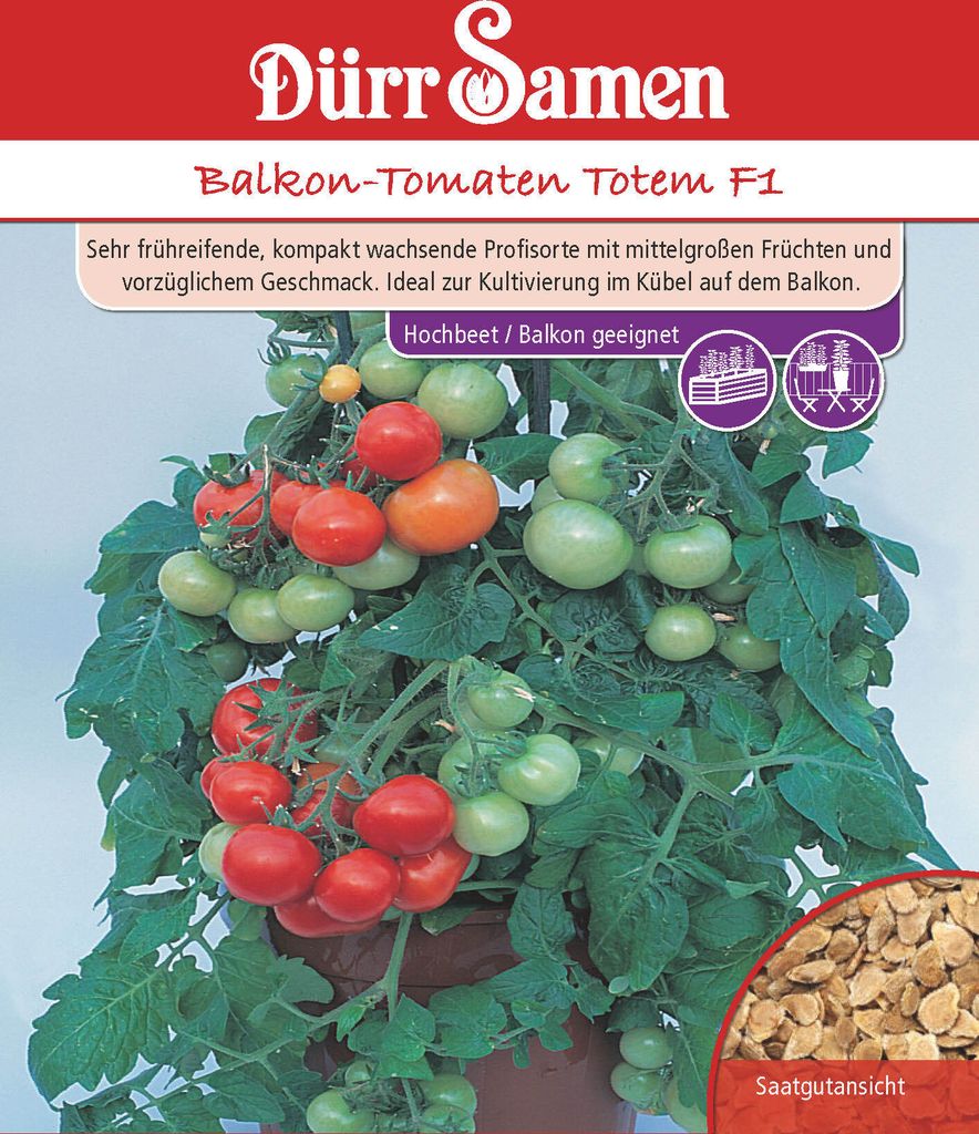 Artikelbild 1 von 'Balkontomate Totem F1' aus der Kategorie Snacktomatensamen