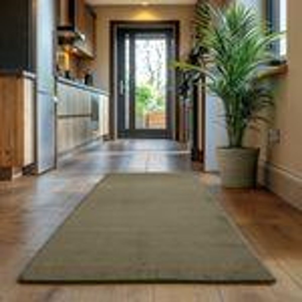A hallway with a rug in the foreground and a plant in a pot to the right.