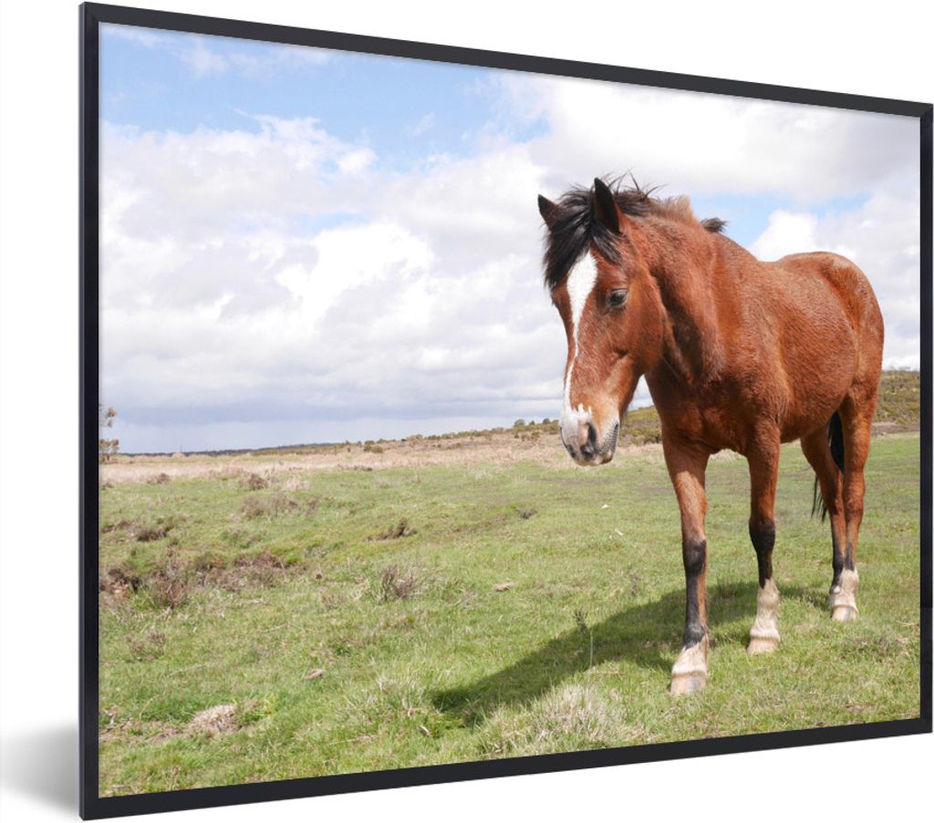 MuchoWow Gerahmtes Poster Pferd - Licht - Schatten 40x30 cm - Poster mit Schwarzem Bilderrahmen Wandposter Rahmen Foto Bilder - Kunstposter - Wan...
