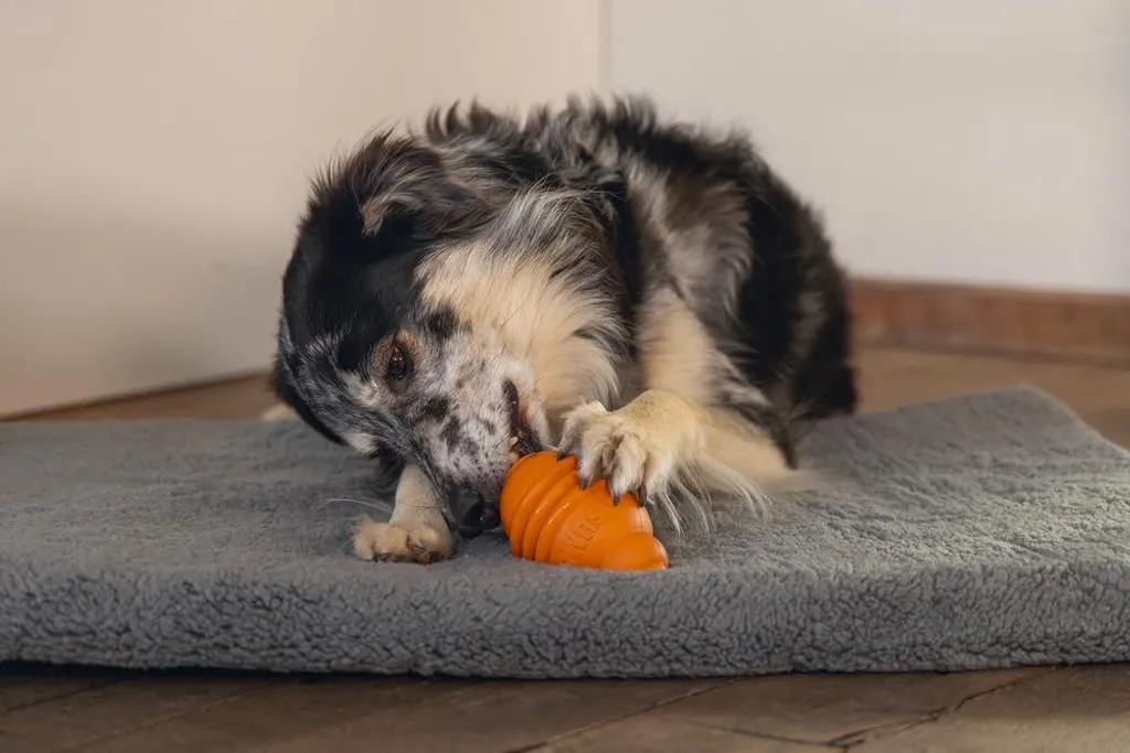 Beeztees Sumo Play Orange Jouet de Dentition Robuste pour Petit Chien - 2