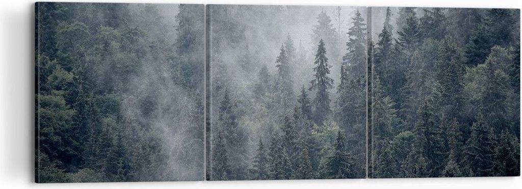 Bild auf Leinwand - Leinwandbild - Wald Baum Natur - 120x40cm - Wand Bild - Wanddeko - Wandbilder - Leinwanddruck - Bilder - Kunstdruck - Wanddekor...