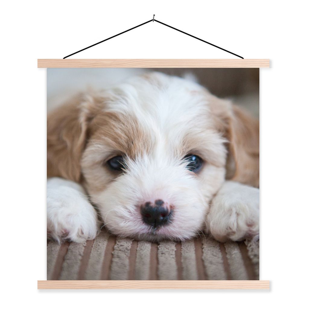 MuchoWow Textilposter Nahaufnahme eines Cavachon-Welpen 120x120 cm mit holzfarbenen Rahmen - Textil-Poster