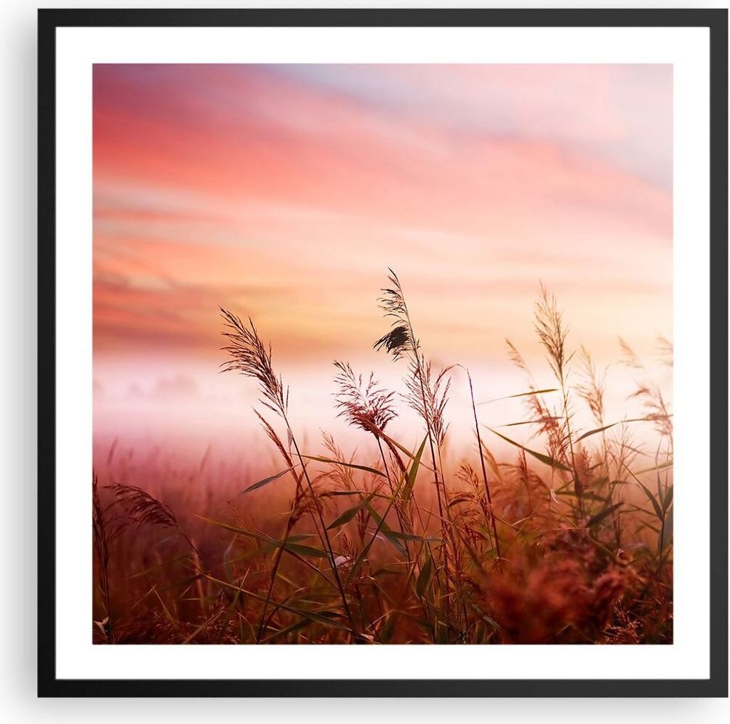 Gerahmtes Poster - Schwarzer Rahmen - Wiese Getreide Natur - 60x60 cm - Wand Bild - Wanddeko - Wandbilder - Kunstposter - Wandposter - Bilderrahmen...