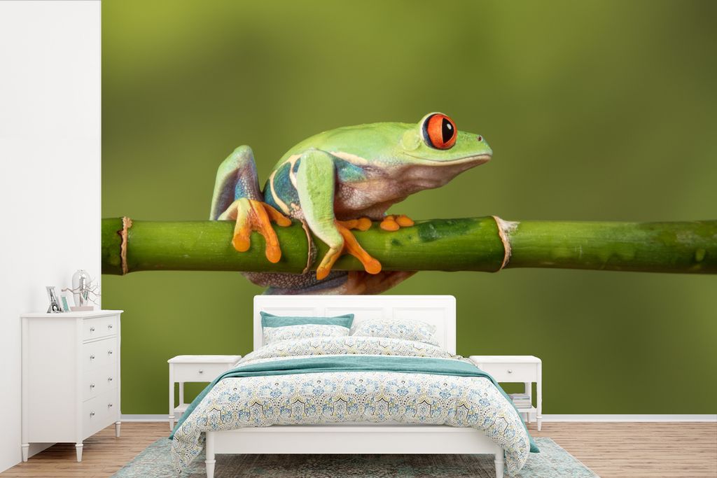 MuchoWow Fototapete für Wohnzimmer oder Schlafzimmer Wandtapete Vinyl Motivtapete Rotäugiger Quecksilberfrosch auf Bambus - 330x220 cm - Fotota...