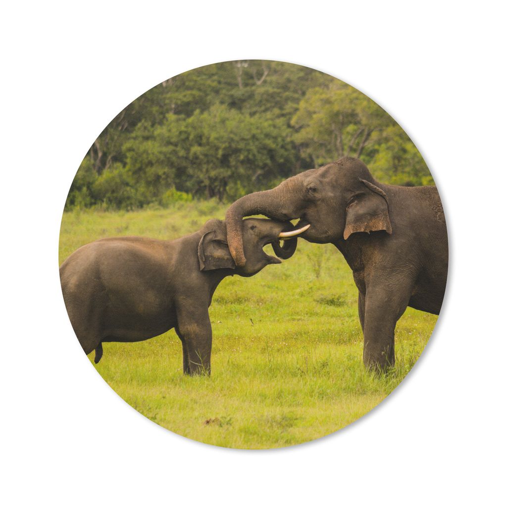 MuchoWow Mauspad Mousepad Elefant - Gras - Tiere - Grün 40x40 cm - Mousepads - Maus Mat - Pad - Mausunterlage - Schreibtisch Accessoires