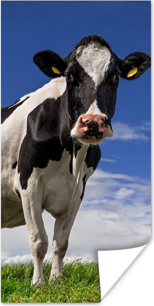 MuchoWow Poster Kuh - Gras - Blau - Tiere 20x40 cm - Plakat - Foto
