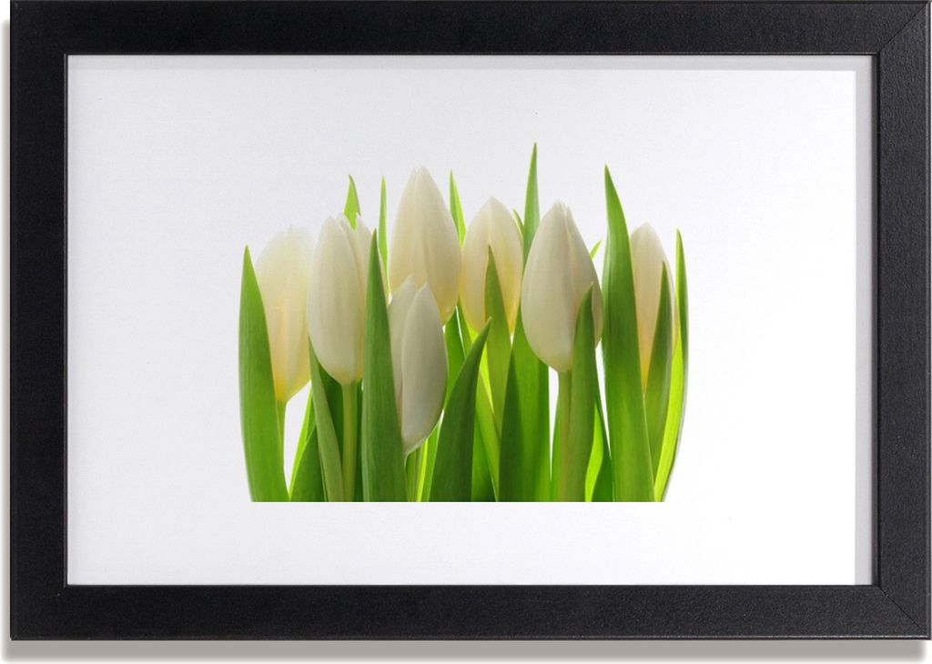 Bild 30x20 MDF-Rahmen Wandkunst Pflanze Tulpen Natur
