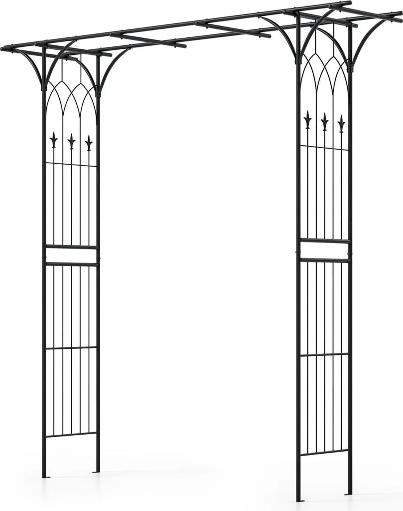 Arche de jardin en métal noir pour plantes grimpantes - Modèle 240cm