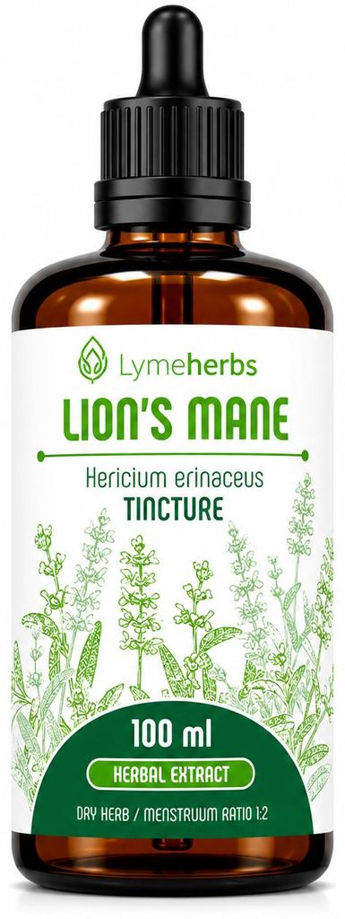 Hydne hérisson (lion's mane), Teinture 1: 2 (100 ml) Image du produit 