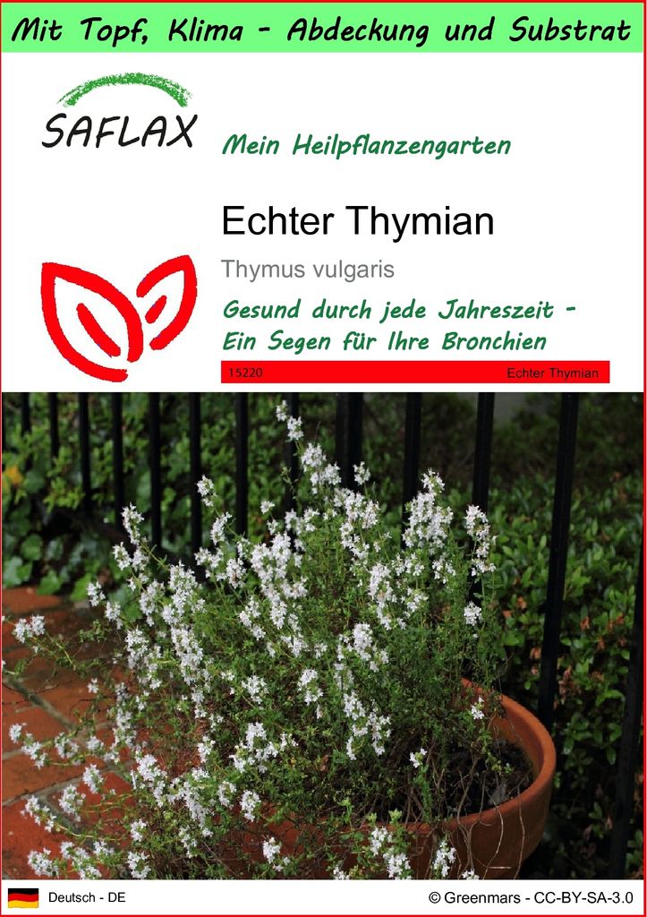 SAFLAX Garden to go - Echter Thymian - Thymus vulgaris - 200 Samen - Mit Topf, Klima - Deckel und Anzuchtsubstrat