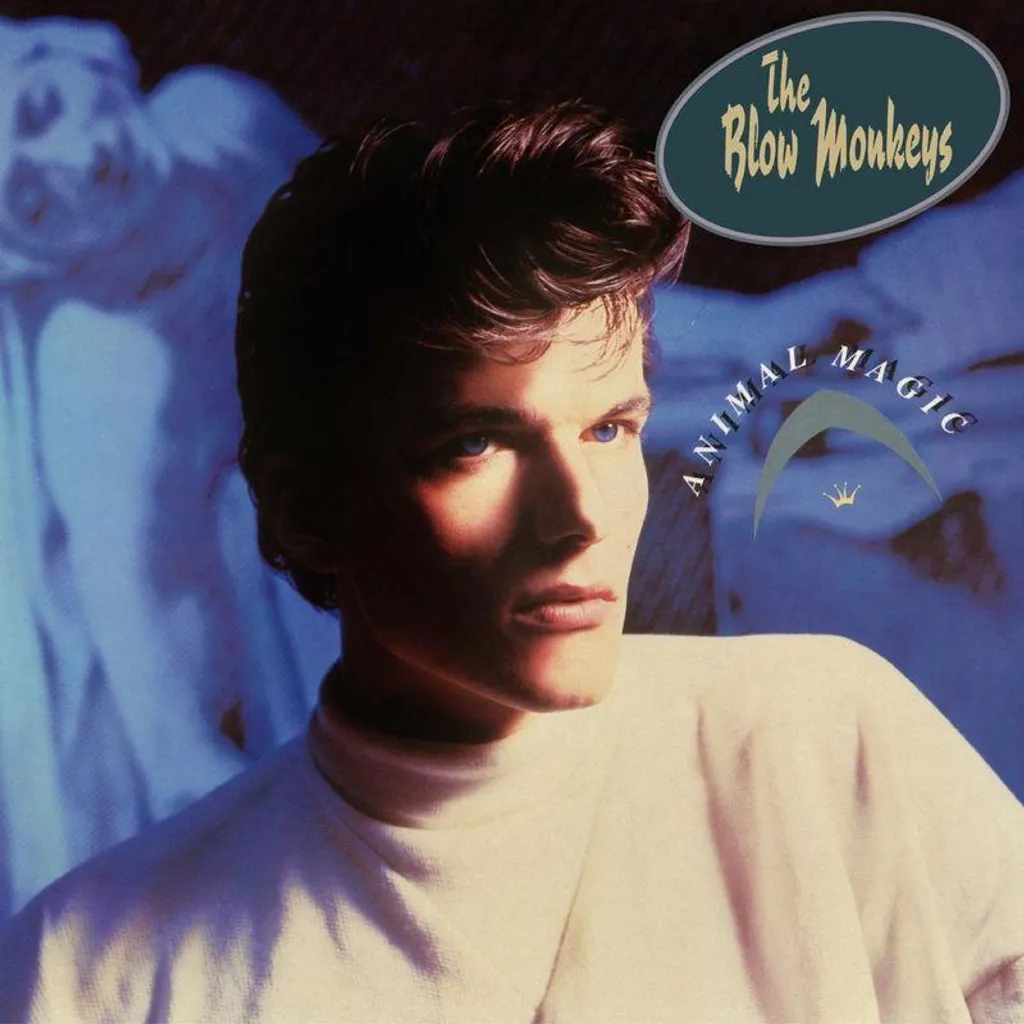Vinyle blanc en édition limitée Animal Magic de The Blow Monkeys 33T