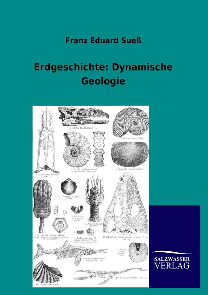 Erdgeschichte: Dynamische Geologie