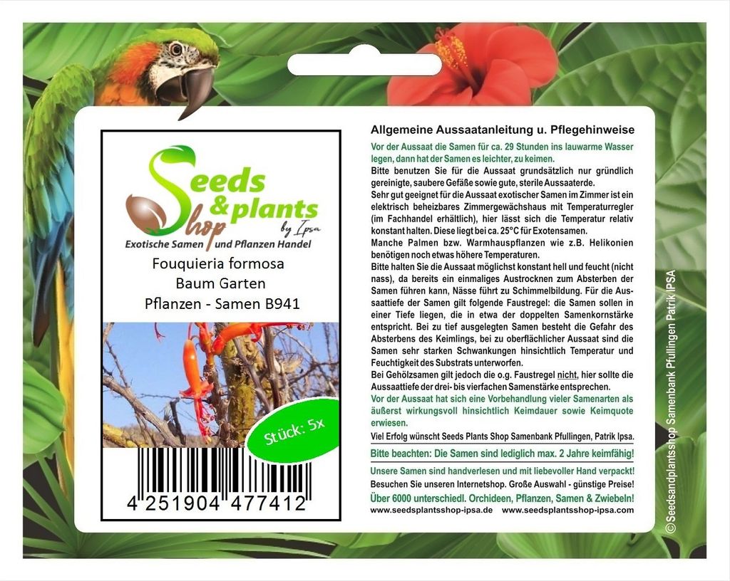 5x Fouquieria formosa Baum Garten Pflanzen - Samen B941
