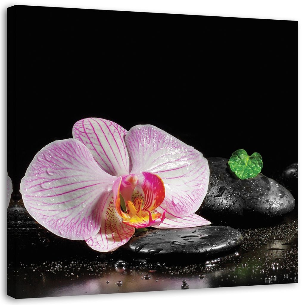 Leinwandbild blühende zen-orchidee 50x50 cm Feeby rosa wandbild bereit zum aufhängen