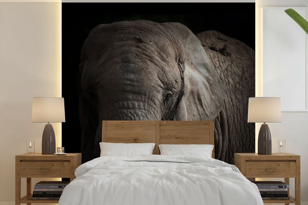 MuchoWow Fototapete für Wohnzimmer oder Schlafzimmer Wandtapete Vinyl Motivtapete Porträt eines Elefanten vor einem dunklen Hintergrund - 350x3...