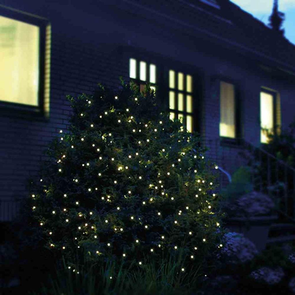 A bush decorated with small, warm white LED lights at night, with a house in the background.