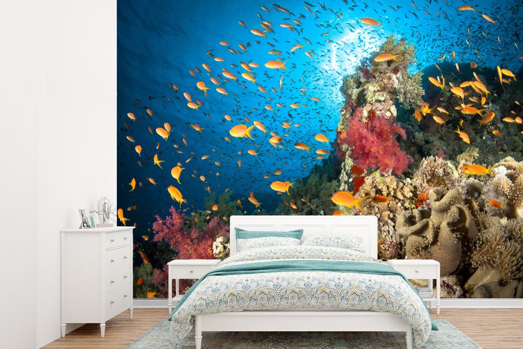 MuchoWow Fototapete für Wohnzimmer oder Schlafzimmer Wandtapete Vinyl Motivtapete Koralle mit Fischen - 305x220 cm - Wandbilder