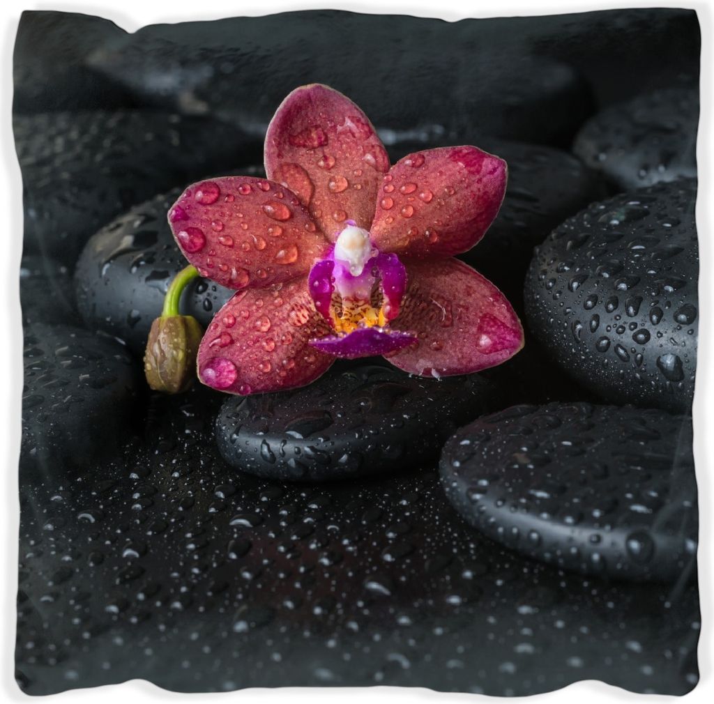 Wallario Premium Kissen, weiche Oberfläche, mit Motiv Orchideen-Blüte auf schwarzen Steinen, benetzt mit Wasser-Tropfen, Größe: 30 x 30 cm, mit...