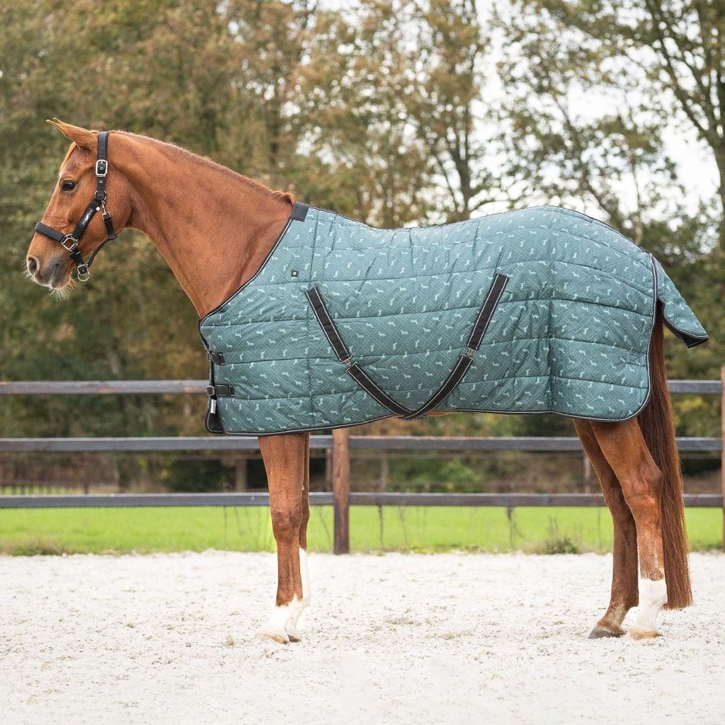 QHP Stalldecke Start Collection 200g