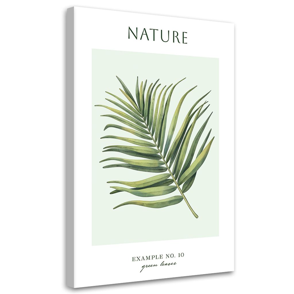 Leinwandbild Grüne Blätter – Natur 60x90 Feeby Grün bild für die wand bereit zum aufhängen