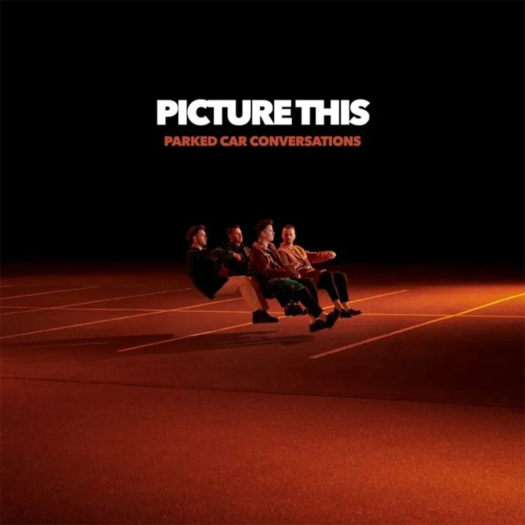 Son Audiophile Picture This Parked Car Conversations Vinyle 180g 2 LP