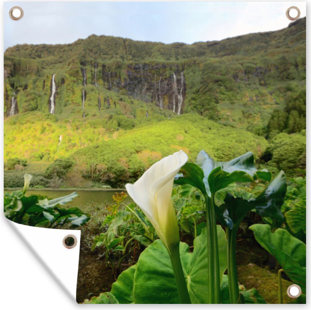 MuchoWow 50x50 cm Outdoor-Poster Gartendeko Sichtschutz Garten Poster für den Garten Azoren - Natur - Lilie