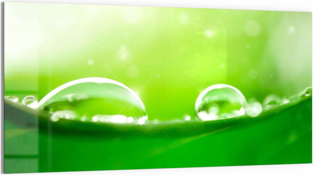 DEQORI Magnettafel Glas 100x50 cm 'Tautropfen auf Blatt' beschreibbar Whiteboard