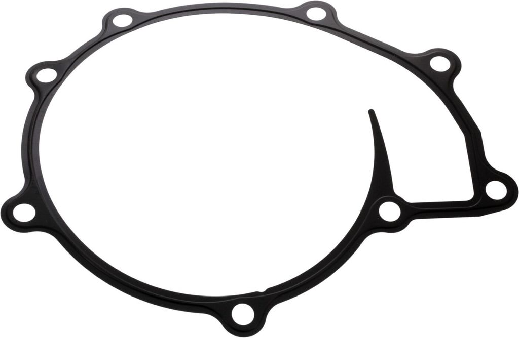 FEBI BILSTEIN Dichtung Wasserpumpe 48407 für MAN FOC